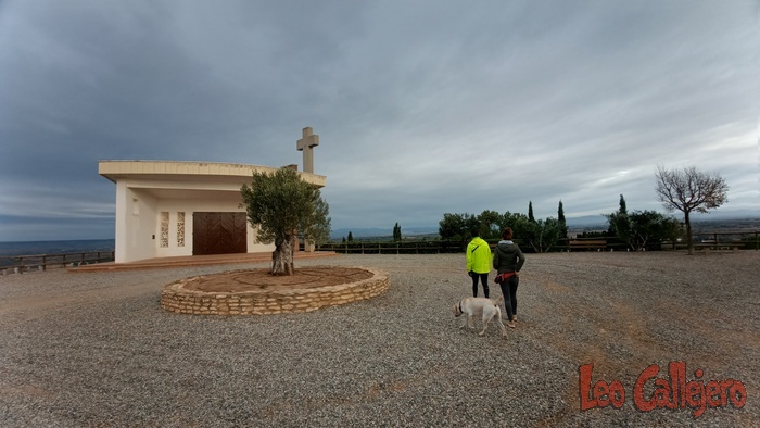 2023-11-01_09-15-21_IMG_20231101_091521_331