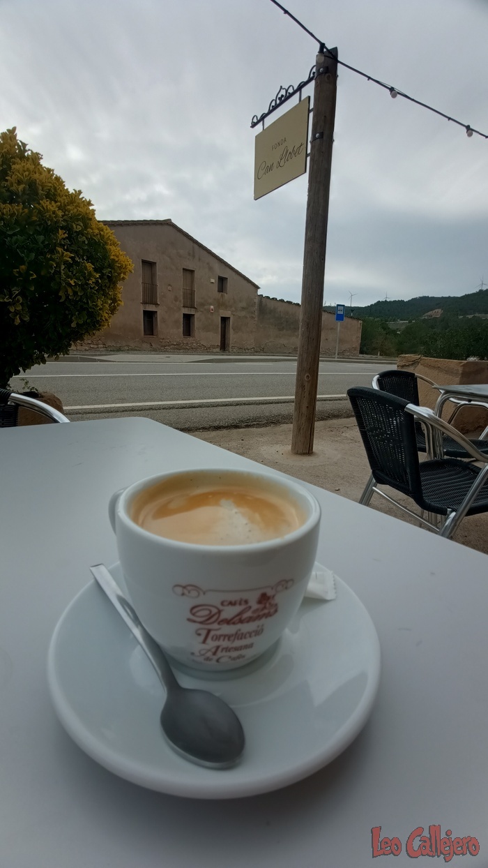 2023-11-01_13-23-25_IMG_20231101_132325_809