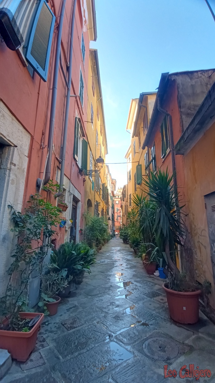 2023-11-17_12-07-25_IMG_20231117_120725_288