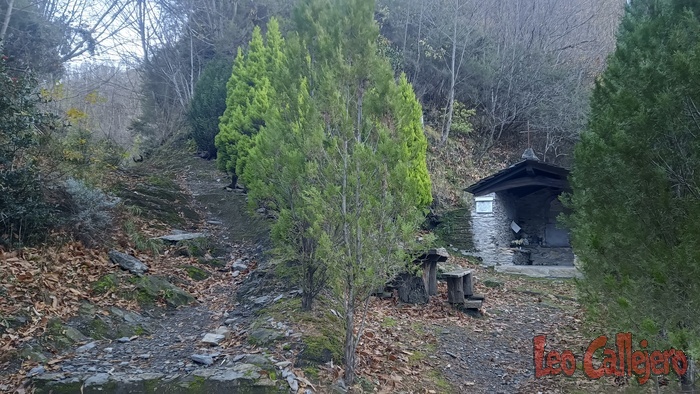 2023-12-17_09-00-39_IMG_20231217_090039_196