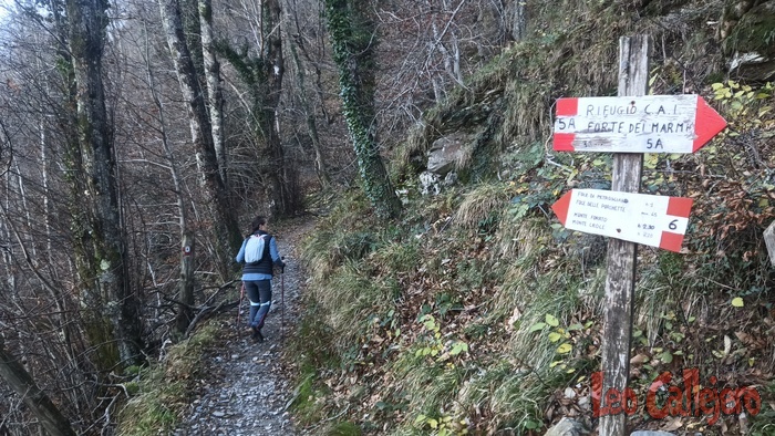 2023-12-17_09-45-22_IMG_20231217_094522_732